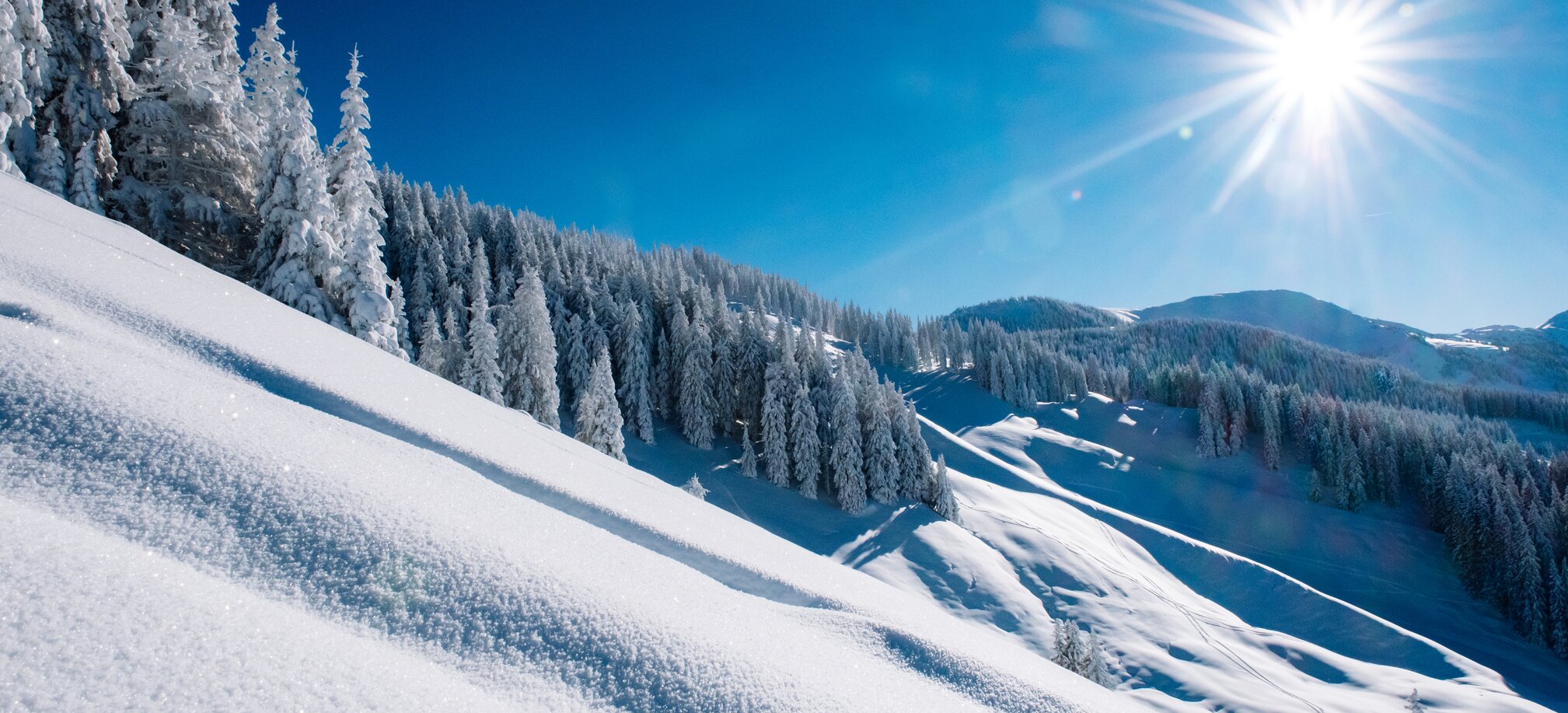 Unberührte Schneelandschaft mit verschneiten Bäumen und strahlendem Sonnenschein. | © Ski amadé