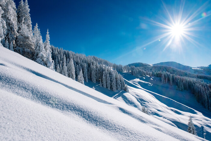 Winterwunderland unter strahlender Sonne | © Ski amadé Unberührte Schneelandschaft mit verschneiten Bäumen und strahlendem Sonnenschein. | © Ski amadé