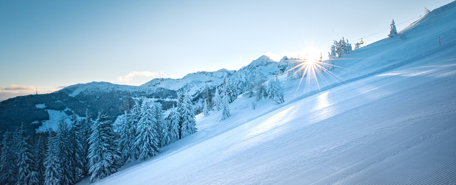 Strahlende Sonne über einer präparierten Skipiste mit verschneiten Bäumen. | © Ski amadé