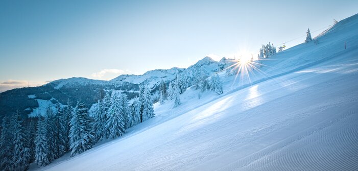 Morgensonne über der frisch präparierten Skipiste | © Ski amadé Strahlende Sonne über einer präparierten Skipiste mit verschneiten Bäumen. | © Ski amadé