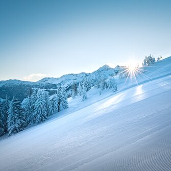Strahlende Sonne über einer präparierten Skipiste mit verschneiten Bäumen. | © Ski amadé