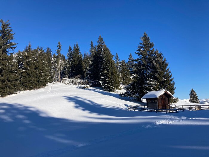 Skitour Dorfgastein Spiegelsee bei Sonne und Pulverschnee Schneebedeckte Wiese mit Hütte, Tannen und Skitourenspur bei blauem Himmel