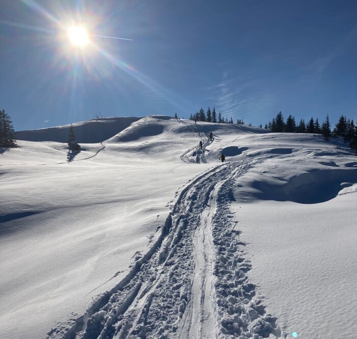 Skitour Dorfgastein Fulseck bei strahlender Wintersonne Skitourenspur führt durch glitzernden Schnee bergauf, Sonne leuchtet am blauen Himmel