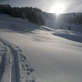 Skitourenspur führt durch glitzernden Pulverschnee in sonniger Winterlandschaft