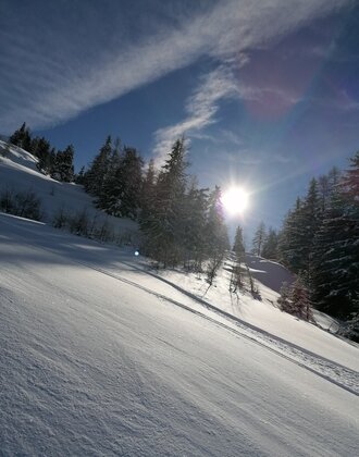 Winterlicher Hang mit Skitourenspur, Sonne über verschneiten Bäumen und blauem Himmel