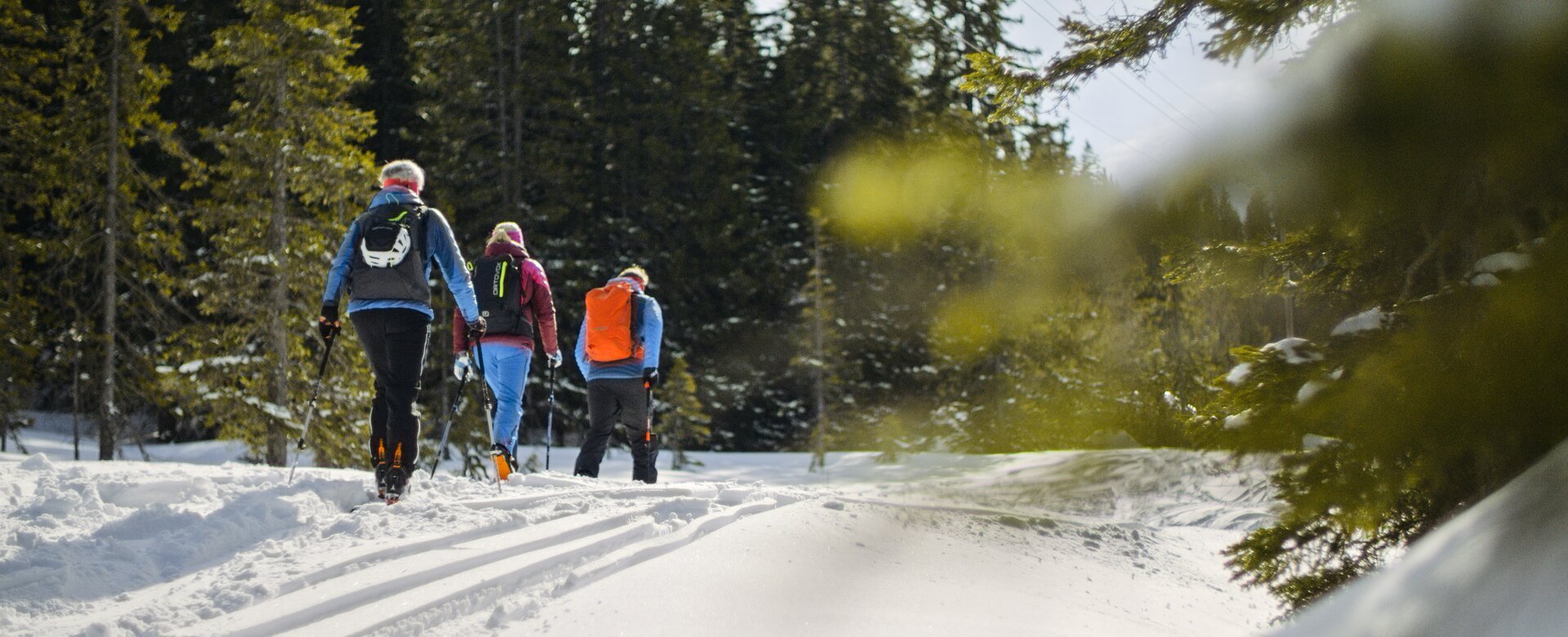 Vier Skitourengeher steigen durch verschneiten Wald bei Tageslicht und klarem Himmel auf