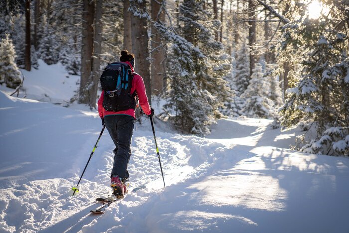 Skitour Graukogel durch verschneiten Wald im Gegenlicht | © Gasteinertal Tourismus GmbH, Christoph Oberschneider Skitourengeherin steigt bei Sonnenschein durch verschneiten Wald am Graukogel | © Gasteinertal Tourismus GmbH, Christoph Oberschneider