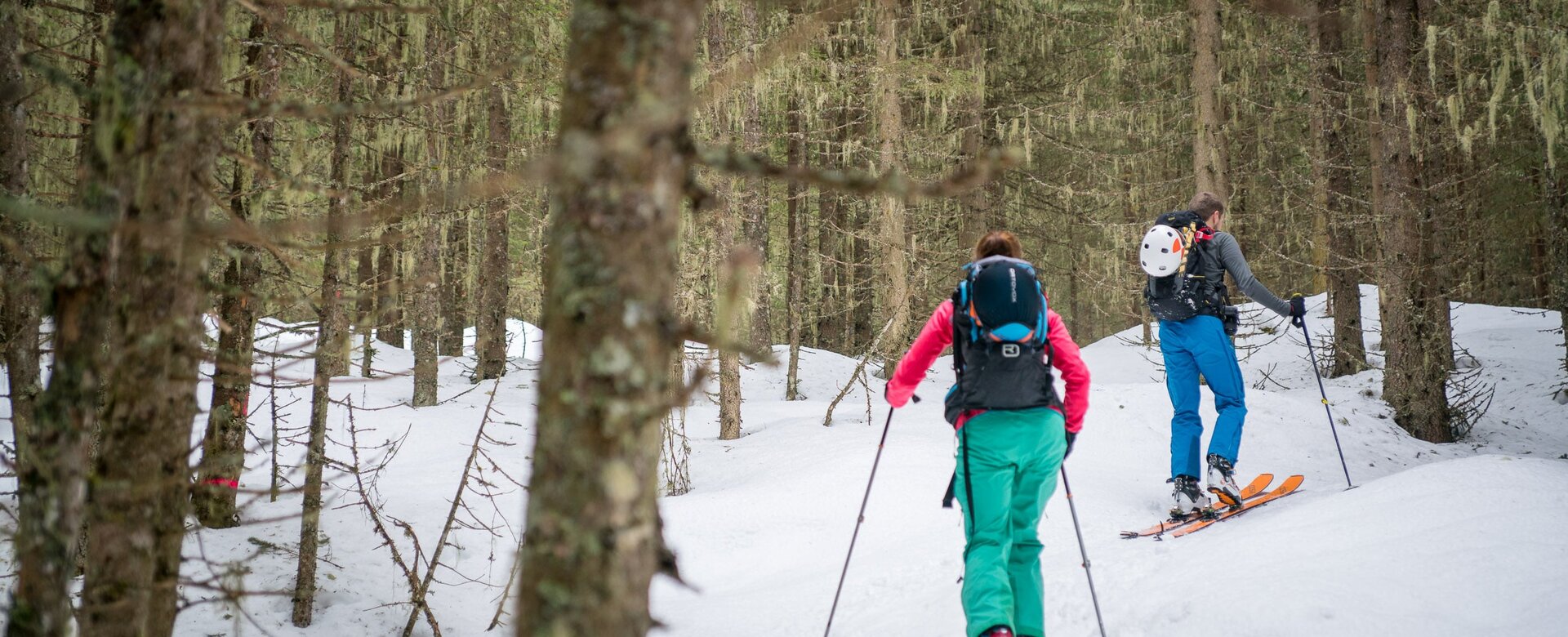 Zwei Skitourengeher steigen durch lichten, moosbewachsenen Wald mit Schnee am Boden | © Gasteinertal Tourismus GmbH, Christoph Oberschneider