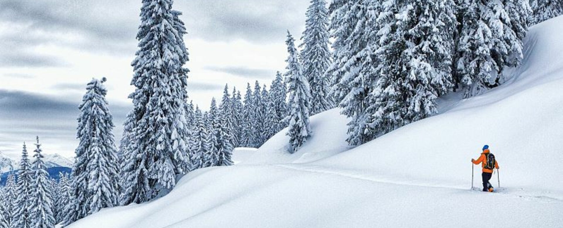 Person mit orangener Jacke geht auf Touren-Ski Richtung schneebedeckte Bäume durch den fas unberührten Tiefschnee