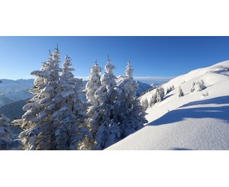 Snow-covered winter landscape with deep snow and trees on the panoramic snowshoe trail | © Tourismusverband Großarltal