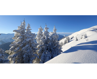 Verschneite Winterlandschaft mit tiefem Schnee entlang des Panorama-Schneeschuhwegs | © Tourismusverband Großarltal