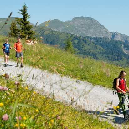 Familien wandern im Großarltal auf breitem Weg, umgeben von Kühen, Almwiesen, Bergen und gelber Gondel am blauen Himmel. | © Gruber Michael