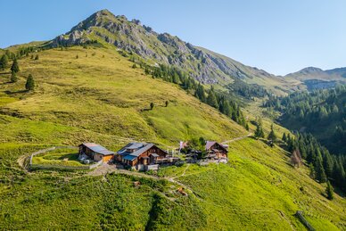 Alpine hut on green meadow in Grossarltal with pasture trail and mountain peak in summer landscape | © Gipfelfieber