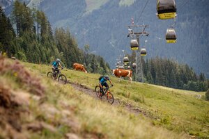 Two mountain bikers ride downhill on a meadow trail, with cows grazing nearby and a yellow cable car in the background. | © Erwin Haiden