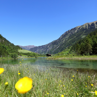 Sommerliche Almwiese mit gelben Blumen am klaren See im Talschluss von Hüttschlag, umgeben von Wäldern und Bergen. | © TVB Großarltal