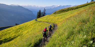 Two mountain bikers ride a single trail through a blooming meadow with views of Grossarl Valley and surrounding mountains. | © mtb_travel