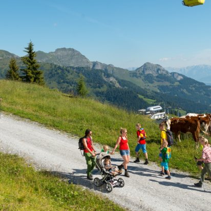 Menschen spazieren auf einer Schotterstraße unter einer Kabinenseilbahn den Berg hinauf | © Gruber Michael