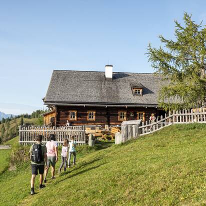 Vier Wanderer steigen zur urigen Almhütte im Großarltal auf, umgeben von grüner Berglandschaft und weiter Sicht auf Alpengipfel | © Lorenz Masser