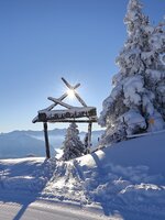 Holztor Naturplatzl im Skigebiet Großarltal neben verschneiten Bäumen mit präparierter Piste und Bergblick | © Tourismusverband Grossarltal