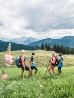 Five hikers walk across blooming alpine meadow with views of forested mountains and valleys under a partly cloudy sky | © Hochkönig Tourismus GmbH
