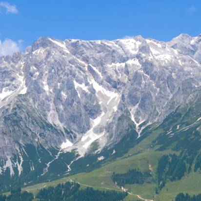Vier Wanderer steigen bei Sonnenschein über blühende Almwiese mit Panoramablick auf das imposante Hochkönigmassiv