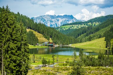 Blick auf den Steirischen Bodensee mit umliegendem Wald, grünen Hügeln und markantem Bergmassiv im Hintergrund | © René Eduard Perhab