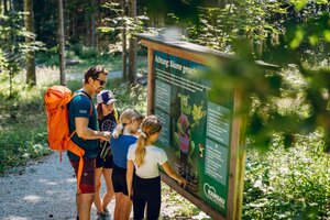 Ein Mann mit Rucksack und drei Kinder lesen eine Infotafel an einem Waldweg in Ramsau am Dachstein | © TVB Schladming-Dachstein, Christine Höflehner