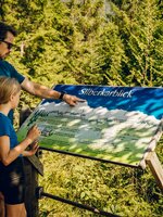 Ein Mann zeigt einem Mädchen eine Panoramatafel aus Holz am Waldrand in Ramsau am Dachstein | © TVB Schladming-Dachstein, Christine Höflehner