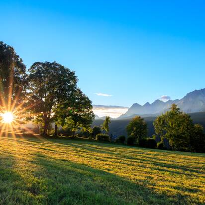 Sonnenstrahlen scheinen durch Bäume auf eine Wiese in Rohrmoos, im Hintergrund die Berge der Schladminger Tauern | © photo austria