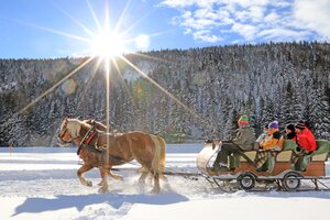 Zwei Pferde ziehen einen Schlitten mit vier Personen durch verschneite Winterlandschaft bei Sonnenschein | © Michael Simonlehner