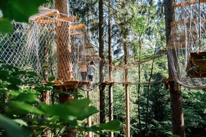 Zwei Personen gehen im Hochseilpark über Hängebrücken und Plattformen zwischen hohen Bäumen im Wald. | © JOSalzburg