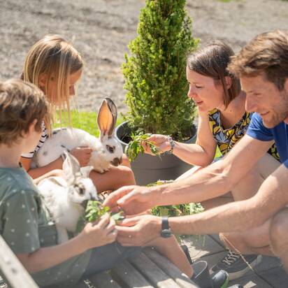 Familie mit zwei Kindern füttert zwei weisse Hasen im Freien auf einer Bank bei sonnigem Sommerwetter. | © TVB Eben, Nina Kraxner