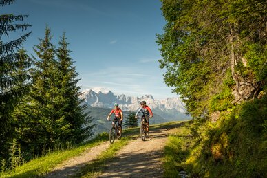 Zwei Mountainbiker fahren auf einem Waldweg mit Blick auf das Dachsteinmassiv, umgeben von grünen Bäumen und Wiesen. | © Altenmarkt-Zauchensee Tourismus/Lorenz Masser