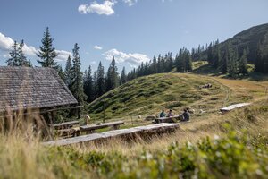 Menschen an Holztischen vor Almhütte mit Weidehang und Tannen im Sommer | © Michael Grössinger