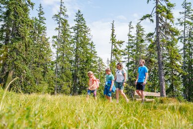 A family with two children hikes across a blooming meadow on the moor trail at Rossbrand, surrounded by tall conifer trees. | © Gerald Oberreiter_www.filzmoos.at