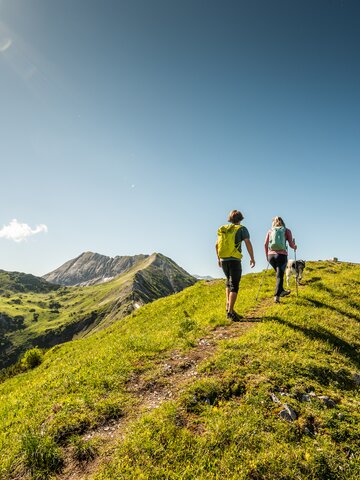 Zwei Wanderer gehen mit Hund über einen grünen Höhenweg bei Altenmarkt-Zauchensee unter blauem Himmel | © Salzburger Sportwelt, Lorenz Masser