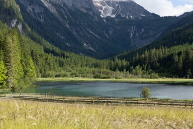 Blick auf den Jägersee mit klarer Wasseroberfläche, Wiesen und dichten Wäldern vor einer imposanten Bergkulisse | © Wagrain-Kleinarl Tourismus/Robert Schabus
