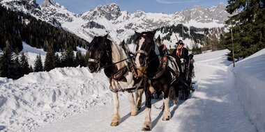 A horse-drawn sleigh with two horses glides through the snowy mountain landscape. | © Chris Perkles